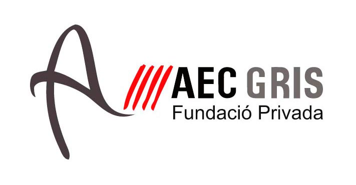 AEC-GRIS-Fundacio-privada